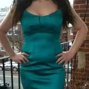 David Meister dress